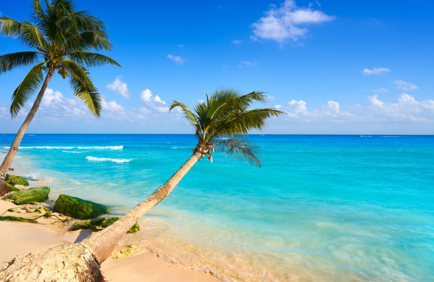 Cancún x Playa del Carmen: descubra as diferenças e programe sua viagem