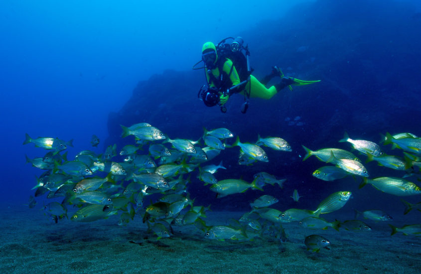 Ilha da Madeira: explore diferentes ângulos através de passeios de barco