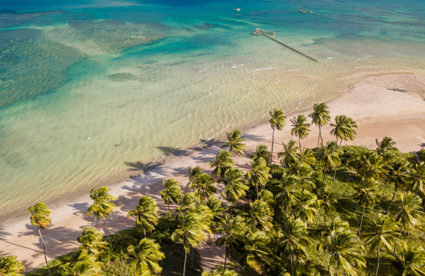 Conheça 10 praias para curtir o verão em Alagoas