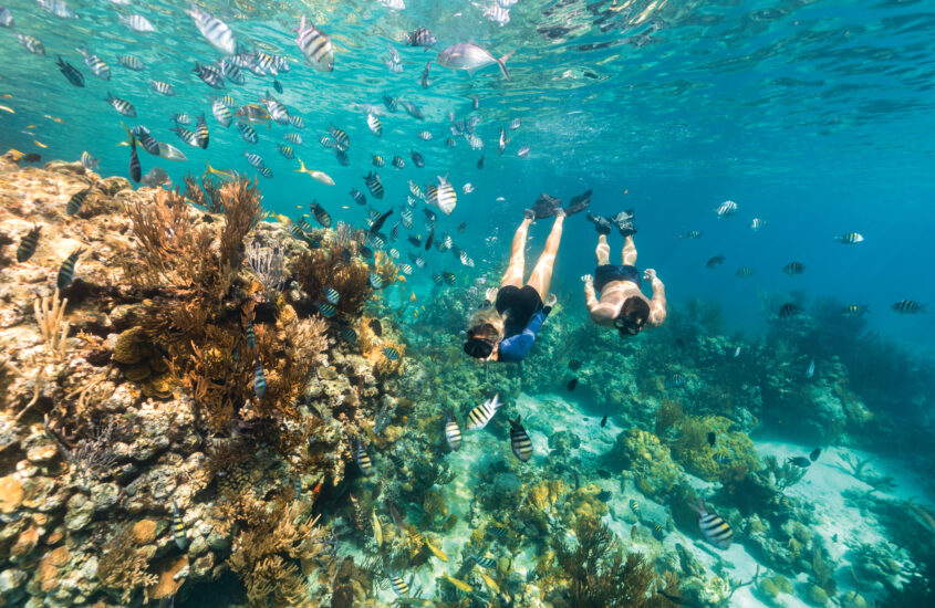 Mergulho nas Bahamas: tire todas as suas dúvidas