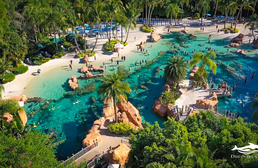 Tudo o que você precisa saber sobre o Discovery Cove, o parque de Orlando que parece um resort