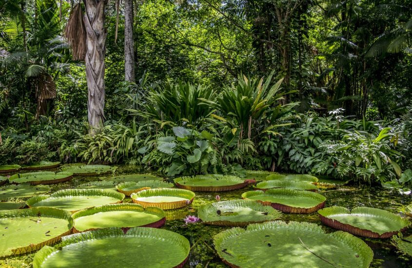 Forbes aponta Brasil como melhor país do mundo para ecoturismo