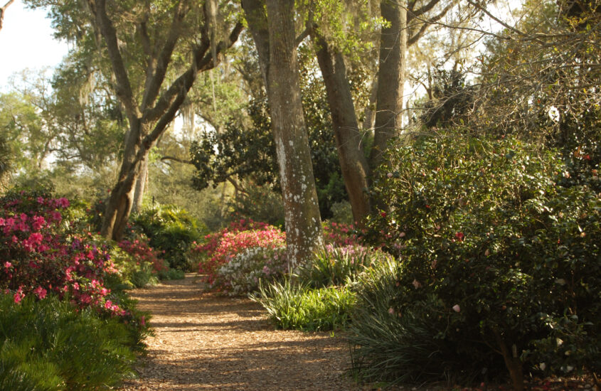 Flórida Central: conheça o Bok Tower Gardens