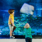 De Miami até Lakeland: uma roadtrip que revela o lado mais surpreendente e encantador da Flórida